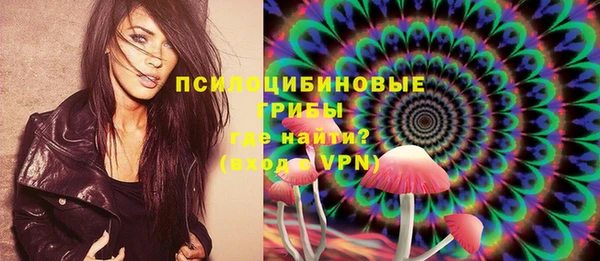 ГАЛЛЮЦИНОГЕННЫЕ ГРИБЫ Алексин