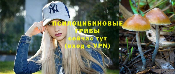 ГАЛЛЮЦИНОГЕННЫЕ ГРИБЫ Алексин