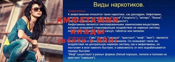 ГАЛЛЮЦИНОГЕННЫЕ ГРИБЫ Алексин