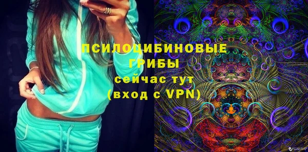 шишки Каменка