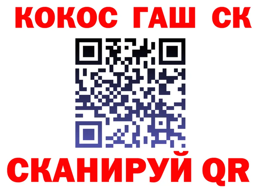 МЕФ VHQ ТОР площадка MEGA Петропавловск-Камчатский