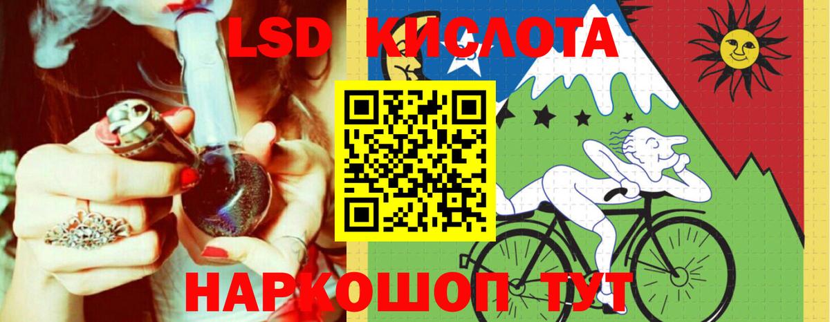 A-PVP Петропавловск-Камчатский
